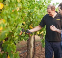 Fratin Brothers Vineyard - Kempsey Accommodation