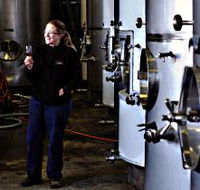 Holm Oak Vineyard - Kempsey Accommodation
