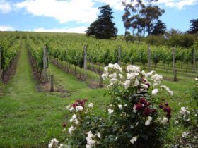 Almonds ACT Kempsey Accommodation