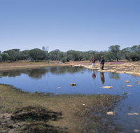 Camel Soak - Kempsey Accommodation