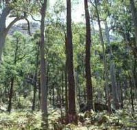 Cathedral Range State Park - Kempsey Accommodation
