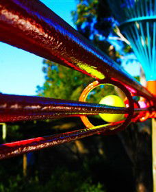 Bellarine Adventure Golf - Kempsey Accommodation 6