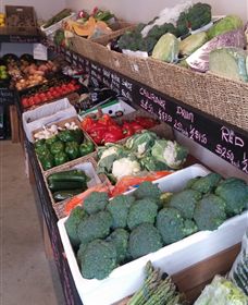 Farmers Harvest - Kempsey Accommodation 1