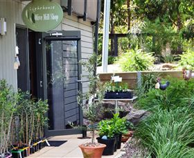 The Lighthouse Olive Mill Shop - Kempsey Accommodation 0