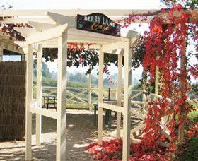 Blue Hills Berries & Cherries - Kempsey Accommodation 1