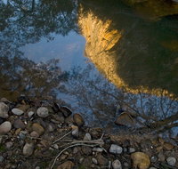 Abercrombie Karst Conservation Reserve - Kempsey Accommodation