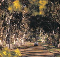 Albert Facey Heritage Trail - Kempsey Accommodation