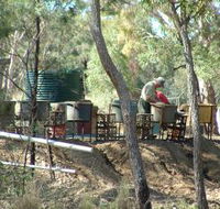 7 Oaks Sapphire Fossicking