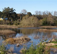 Coolart Wetlands and Homestead - Kempsey Accommodation