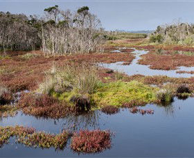 French Island National Park - Kempsey Accommodation 0