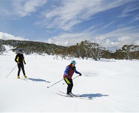 Mt Baw Baw Alpine Resort - Kempsey Accommodation 2