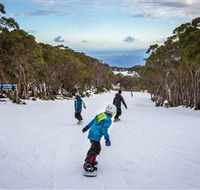 Mt Baw Baw Alpine Resort - Kempsey Accommodation