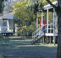 Dryandra Woodland - Kempsey Accommodation