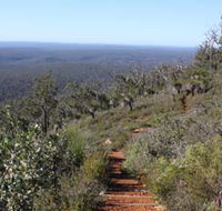 Mount Dale Walk Trail - Kempsey Accommodation