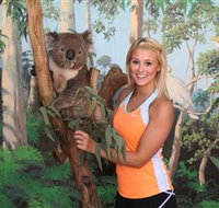 Maru Koala and Animal Park - Kempsey Accommodation
