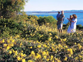 Joseph Banks Conservation Park - Kempsey Accommodation 0