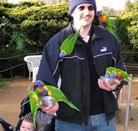 Canberra Walk In Aviary - Kempsey Accommodation