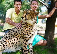 National Zoo  Aquarium - Kempsey Accommodation