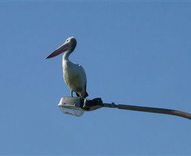 Bailey's Sydney - Tours For People Who Don't Like Tours - Kempsey Accommodation 3