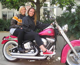 Wild Ride Harley And Motorcycle Tours - Kempsey Accommodation 0