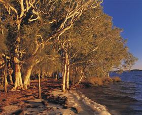 East Coast Adventure Bus - Kempsey Accommodation 2