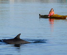 East Coast Adventure Bus - Kempsey Accommodation 1