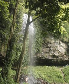 East Coast Adventure Bus - Kempsey Accommodation 5