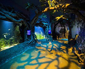 SEA LIFE Sydney Aquarium - Kempsey Accommodation 2