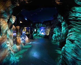 SEA LIFE Sydney Aquarium - Kempsey Accommodation 3