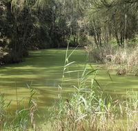 Second Ponds Creek walk - Kempsey Accommodation