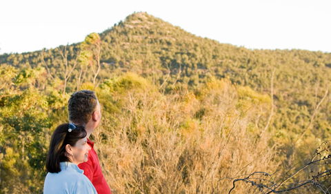 Piles Creek Loop - Kempsey Accommodation 0