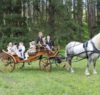 Classic Carriage Drives - Kempsey Accommodation