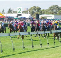 Morphettville Racecourse - Kempsey Accommodation