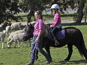 Hahndorf Farm Barn - Kempsey Accommodation 2