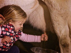 Hahndorf Farm Barn - Kempsey Accommodation 1