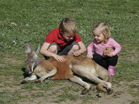 Hahndorf Farm Barn - Kempsey Accommodation 3