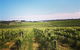 Adelaide Winemakers - thumb 0
