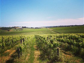 Adelaide Winemakers - Kempsey Accommodation 0