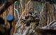 Paintball Sports - thumb 1