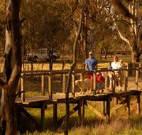 Loxton's Drives Walks and Trails - Kempsey Accommodation