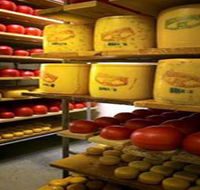 Alexandrina Cheese Company - Kempsey Accommodation