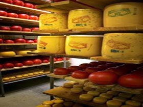 Alexandrina Cheese Company - Kempsey Accommodation 0