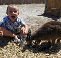 Animal Farm Goolwa - Kempsey Accommodation