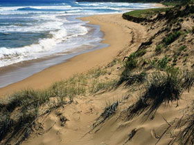 Waitpinga SA Kempsey Accommodation