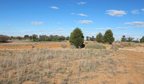 Zanci Pastoral Loop - Kempsey Accommodation 3