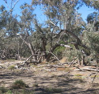 Mirri Mirru Yurun - Kempsey Accommodation