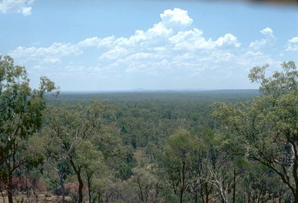 Ka Ka Mundi, Carnarvon National Park - Kempsey Accommodation 1