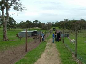 Avenue Range ACT Kempsey Accommodation