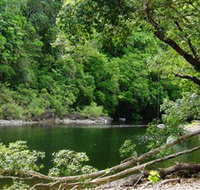 Broadwater Abergowrie State Forest - Kempsey Accommodation