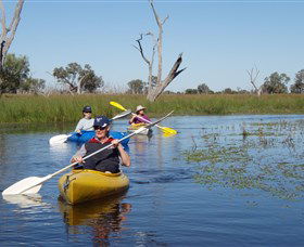 Marsh Meanders - Kempsey Accommodation 0